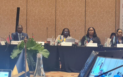 T&T represented at the United Nations VIII Regional Platform for Disaster Risk Reduction in the Americas and the Caribbean (RP23)