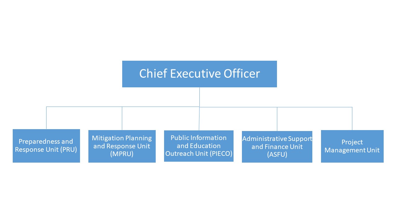 Organisational Structure May 29 2024